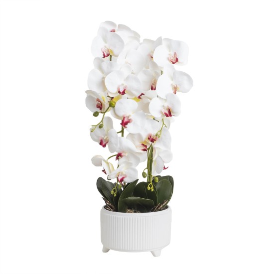 Orhidee cu aspect natural in ghiveci ceramic alb, diametru 22cm, H 70 cm / SL257_R