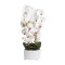 Orhidee cu aspect natural in ghiveci ceramic alb, diametru 22cm, H 70 cm / SL257_R