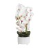 Orhidee cu aspect natural in ghiveci ceramic alb, diametru 22cm, H 70 cm / SL257_R