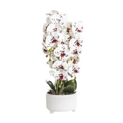 Orhidee cu aspect natural in ghiveci ceramic alb, diametru 22cm, H 70 cm / SL257_AP