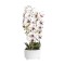 Orhidee cu aspect natural in ghiveci ceramic alb, diametru 22cm, H 70 cm / SL257_AP