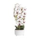 Orhidee cu aspect natural in ghiveci ceramic alb, diametru 22cm, H 70 cm / SL257_AP