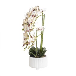 Orhidee cu aspect natural in ghiveci ceramic alb, diametru 22cm, H 70 cm / SL257_AP