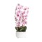 Orhidee cu aspect natural in ghiveci ceramic alb, diametru 22cm, H 70 cm / SL257_RP