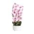 Orhidee cu aspect natural in ghiveci ceramic alb, diametru 22cm, H 70 cm / SL257_RP