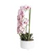 Orhidee cu aspect natural in ghiveci ceramic alb, diametru 22cm, H 70 cm / SL257_RP