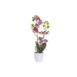 Orhidee cu aspect natural in ghiveci ceramic alb, diametru 7cm, H 34 cm / CD5150_Multicolor