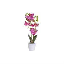 Orhidee cu aspect natural in ghiveci ceramic alb, diametru 7cm, H 34 cm / CD5150_Roz