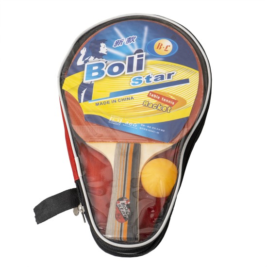 Set palete PING-PONG, 2 mingii, model pro, B.S.P. / CD945