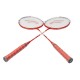 Set de palete BADMINTON, model pro, B.S.P / CD950