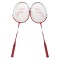Set de palete BADMINTON, model pro, B.S.P / CD950