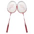 Set de palete BADMINTON, model pro, B.S.P / CD950