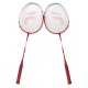 Set de palete BADMINTON, model pro, B.S.P / CD950