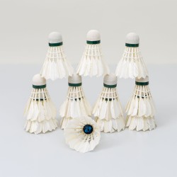 Set 12 fluturari BADMINTON, B.S.P. / CD951