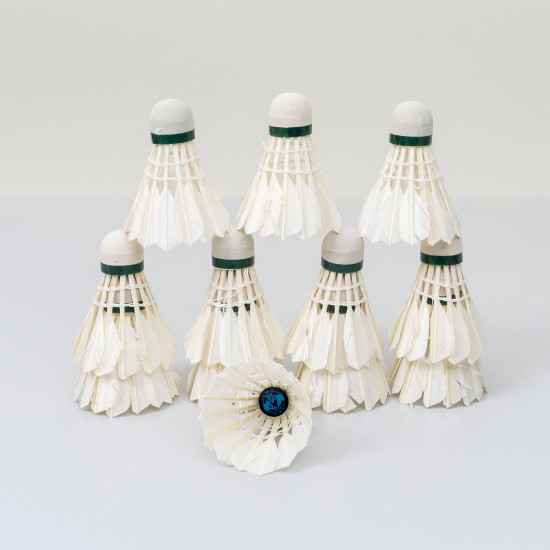 Set 12 fluturari BADMINTON, B.S.P. / CD951