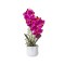 Orhidee 2 fire cu aspect natural in ghiveci ceramic alb, H 38 cm / SL262_Fucsia