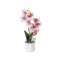 Orhidee 2 fire cu aspect natural in ghiveci ceramic alb, H 38 cm / SL262_Roz pal