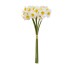 Buchet 6 narcise, cu aspect natural, inaltime 40cm / SL062_alb
