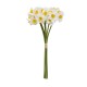 Buchet 6 narcise, cu aspect natural, inaltime 40cm / SL062_alb