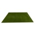 Panou muschi artificial, culoare verde 70x98 cm, B.S.P. / SL1120