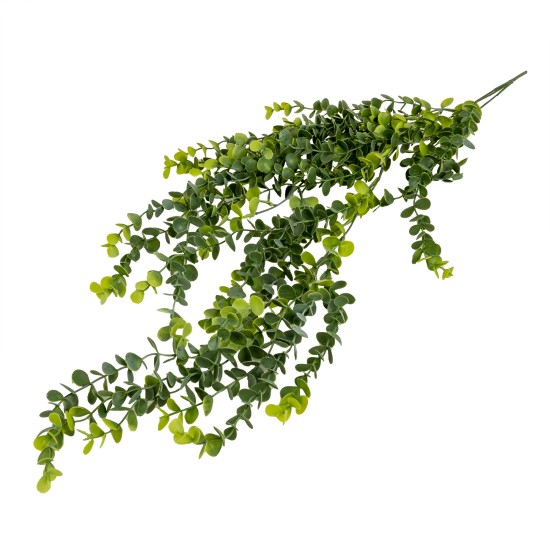 Buchet eucalipt verdeata curgatoare, 70 cm, B.S.P. / SL1122