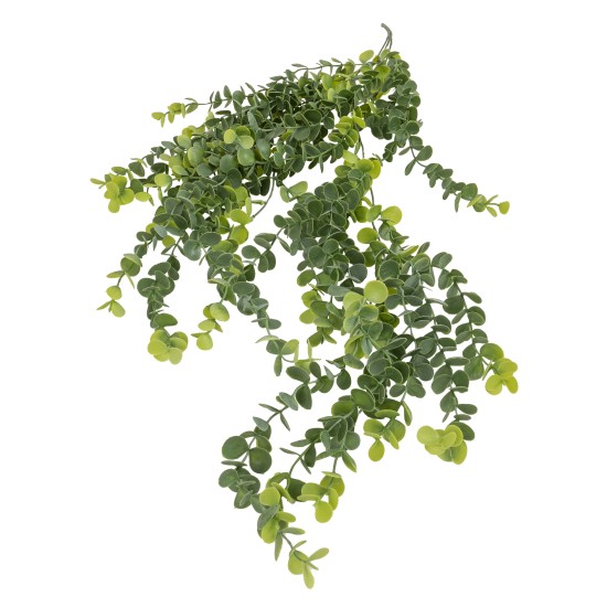 Buchet eucalipt verdeata curgatoare, 70 cm, B.S.P. / SL1122