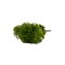 Buchet verdeata artificiala, model bulgaras, culoare verde, H 30 cm, B.S.P. / SL1124_3