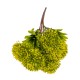 Buchet verdeata artificiala, model bulgaras, culoare galben, H 30 cm, B.S.P. / SL1124_2