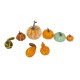Decoratiune Halloween, 8 piese, B.S.P. / SL1150