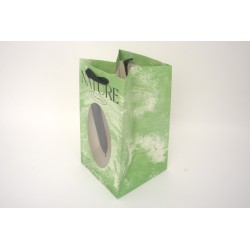 Set 2 pungi cu fereastra, culoare verde, 30*20*20 cm, B.S.P. / SL1227-3