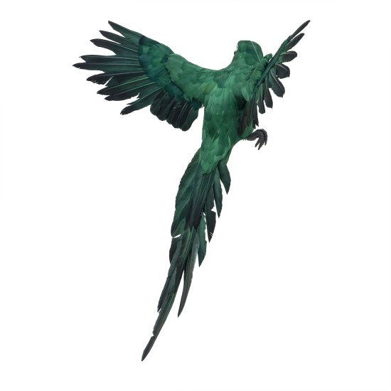 Papagal decorativ suspendat culoare verde, 80x40 cm, B.S.P. / SL160_2