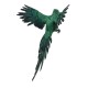 Papagal decorativ suspendat culoare verde, 80x40 cm, B.S.P. / SL160_2