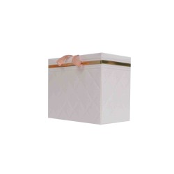 Set 10 cutii din carton, culoare alb, 18x12x15 cm, B.S.P. / SL169_2