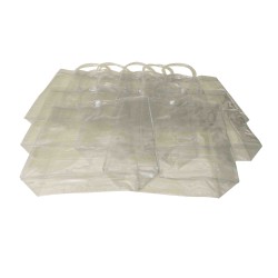 Set 10 pungi transparente, 25X25X9 cm, B.S.P. / SL172