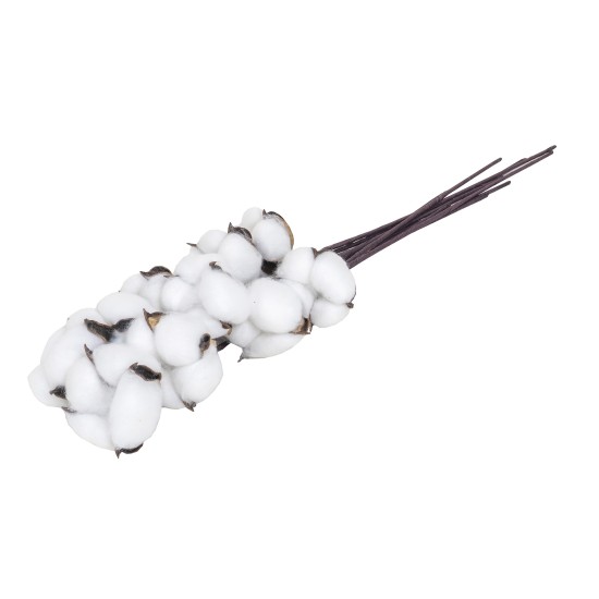 Buchet 10 fire bumbac alb, H 30 cm, B.S.P. / SL201