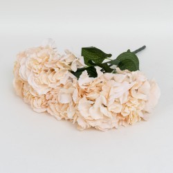 Buchet 6 fire hortensie, culoare somon, H 40 cm, B.S.P. / SL221_2