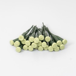 Fiole din plastic, 25/ set, H 15 cm, B.S.P. / SL246