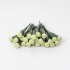 Fiole din plastic, 25/ set, H 15 cm, B.S.P. / SL246