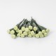 Fiole din plastic, 25/ set, H 15 cm, B.S.P. / SL246
