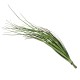 Buchet iarba artificial, culoare verde, H-33cm / B.S.P. SL316