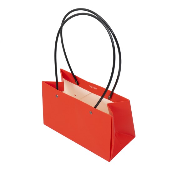 Set 10 pungi pentru ghiveci, 22X13.5X10 cm, B.S.P. / SL362_R