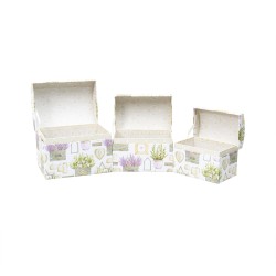 Cutii cadou, model cufar, imprimeu ghiveci, 3/set, B.S.P. / SL377_V
