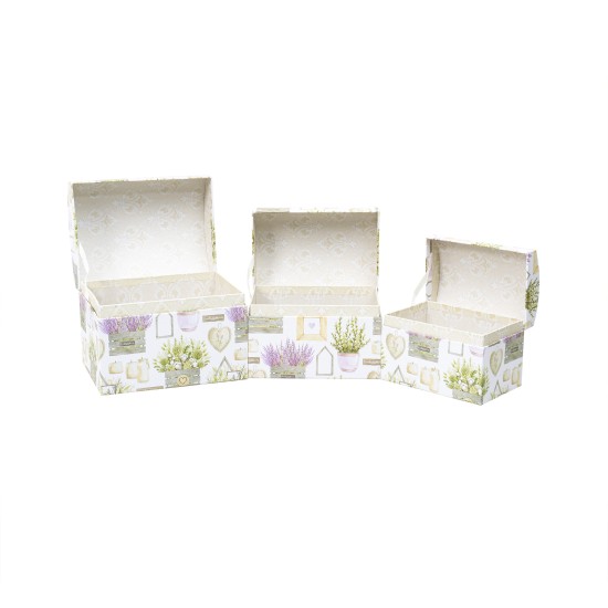 Cutii cadou, model cufar, imprimeu ghiveci, 3/set, B.S.P. / SL377_V