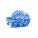 Buchet 5 fire hortensie, H 45 cm, culoare albastru, B.S.P. / SL394_AB