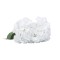 Buchet 5 fire hortensie, H 45 cm, culoare alb, B.S.P. / SL394_A