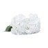 Buchet 5 fire hortensie, H 45 cm, culoare alb, B.S.P. / SL394_A