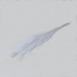 Set 5 fire de pampas, culoare alb, H 120 cm, B.S.P. / SL399_1