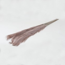 Set 5 fire de pampas, culoare maro, H 120 cm, B.S.P. / SL399_3