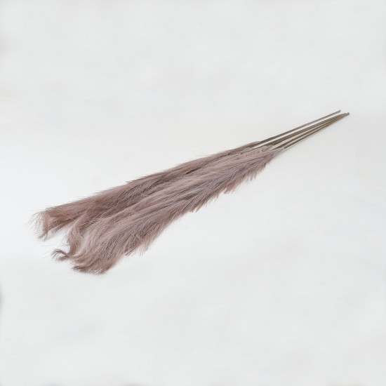 Set 5 fire de pampas, culoare maro, H 120 cm, B.S.P. / SL399_3