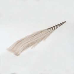 Set 5 fire de pampas, culoare crem, H 120 cm, B.S.P. / SL399_4